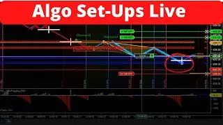 Algo Trading Live Set-Ups