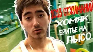 Из дрища в качки за 100 дней / 1013 отжиманий