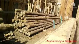 QIZIRIQ ESKI YOG'OCH BOZORI 2022 КИЗИРИК ЕСКИ ЙОГОЧ БОЗОРИ 2022 