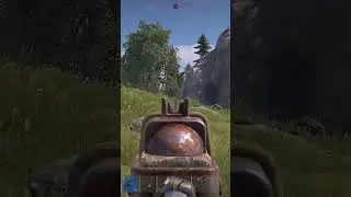 #rust