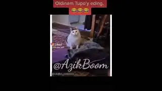 😂😂😂😂😂😂😂😂