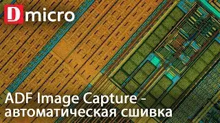 Панорамная сшивка образца на микроскопе в программе ADF Image Capture
