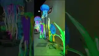 Тель-  Авив. Фестиваль огней в старом порту.