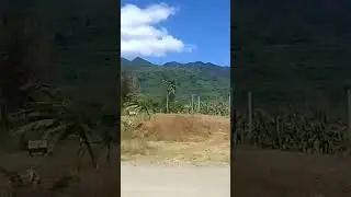 Makiling view