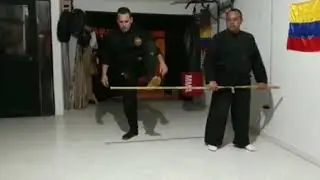 Zenpo sokuyaku keri