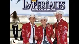 TRIO IMPERIALES DE LA SIERRA, UN POBLANO EN NEW YORK