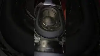 JBL Flip 5 Flexing