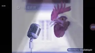 Петух поёт в год петуха