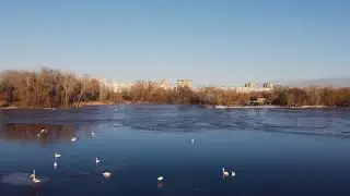 Лебеди на льду | Deep Vocal House 2022 winter mix | Swans on ice | music by Sharapov