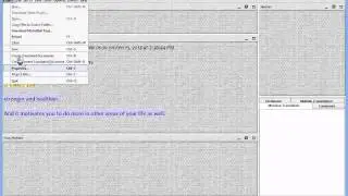 Global Settings vs  Project Specific Settings in OmegaT