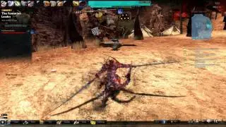Vindictus - Shining Shakarr vs Lann (Sword)