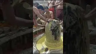 Mahakal raja.... #festival #mahakal #mahakalstatus #lokshabhaelection2024