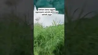 Akhirnya streak juga #fishing #kail #mancing #banjir #fhishing #mancingmania