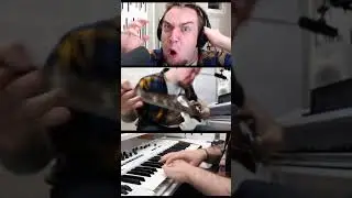 How to sound like CBT
