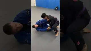Estrangulamento Rodado #jiujitau #jiujitsulifestyle #grappling