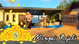 Harga Jagung Melonjak Auto Jadi Sultan 💸💸