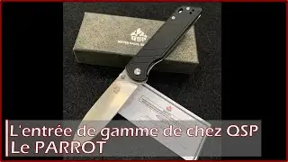 Revue de l'entrée de gamme de chez QSP, le Parrot