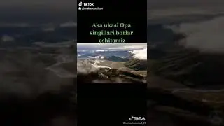 22 ноября 2020 г.