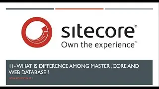 11| What is difference among Master ,core and Web Database ?