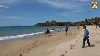 Cabalgando en burros en la playa