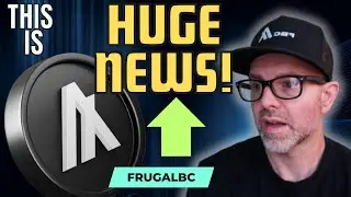 MAJOR Algorand game and DeFI news