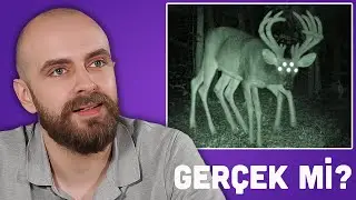 DAHA ÖNCE HİÇ GÖRMEDİĞİNİZ İLGİNÇ YARATIKLAR!