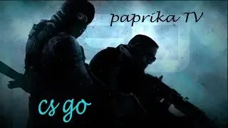 Just ACE (CS GO) paprika'