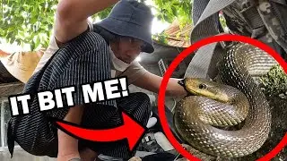 I FOUND A SNAKE IN MY ROOM (I Got Bitten!)