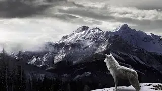 Hidra - Burası Dünya Değil