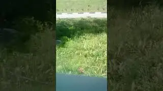 Вид из окна