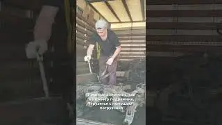 #shorts  🚚Загрузка на доставку🚚