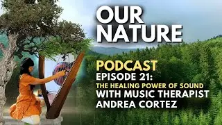 The Science Behind Music Medicine Frequencies - Math, Rehabilitation & Neurology - Interview
