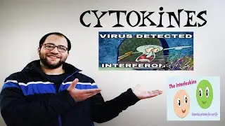 Cytokines in an easy way