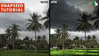 Snapseed - Using Stacks Brush (Masking) to Make the Image Pop | Android | iPhone