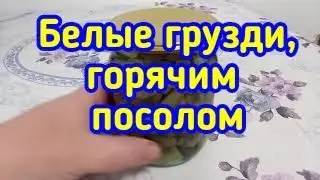 КАК ЗАСОЛИТЬ БЕЛЫЕ ГРУЗДИ ГОРЯЧИМ ПОСОЛОМ//