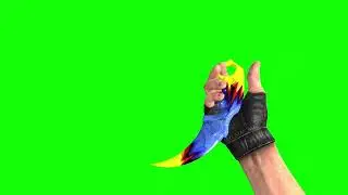 CS:GO - Discontinuit Karambit Knife in First Person [GREEN SCREEN]