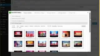 Adding Nextgen Galleries to a page or post in WordPress