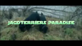 ТРЕЙЛЕР КАНАЛА ► JAGDTERRIERS PARADISE