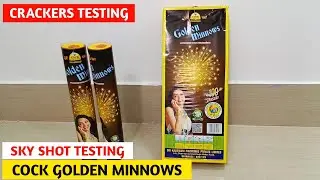 Cock Golden Minnows Sky Shot Testing | Cock Sky Shot Testing | Crackers Testing