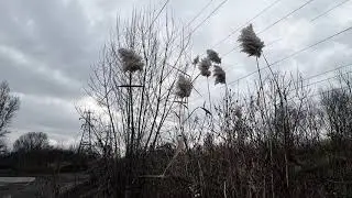 Черкаси. Хіміки