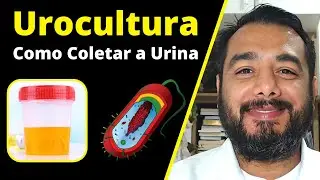 Urine culture test (urine culture): how to collect urine? | What is the preparation for a urine c...