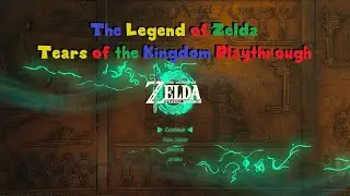 Zelda Tears of the Kingdom part 46
