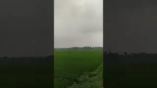 Cloudy Morning In Village | Nature Beauty Of Rural Area #naturelovers #nature