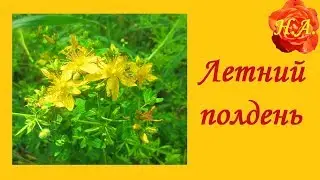 ЖАРКИЙ ПОЛДЕНЬ,  ЛЕТНИЙ ЗНОЙ🌞🌼🐦ЛЕТО