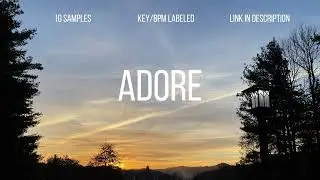 [Free] RnB Sample Pack - 