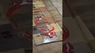 Дуб таксичен.