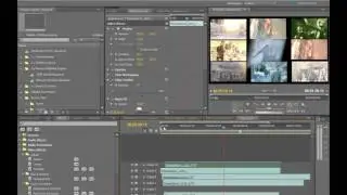 Adobe Premiere Pro CS5-Breakthough Performance with Mercury Playback Engine