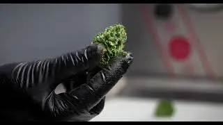 MT Tumbler 200 | Wet trimming - Discover how it works!