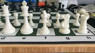 Solid Regulation Plastic Chess Pieces