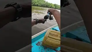Mancing Serasa Mudah Seperti Mancing Di Kolam 😆 #mancingmania #fishingvideo